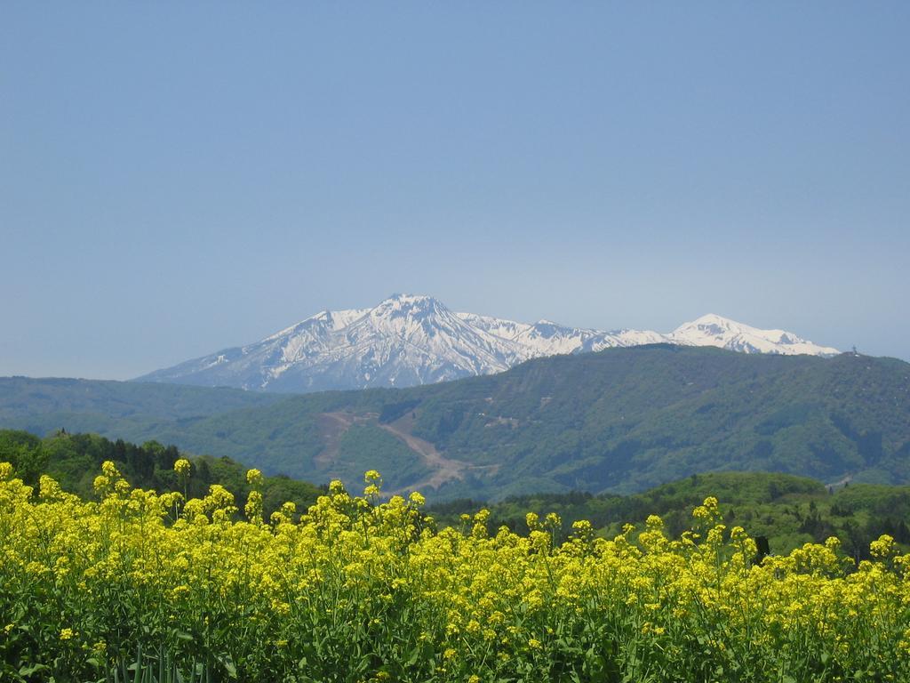 Marushige Nozawaonsen